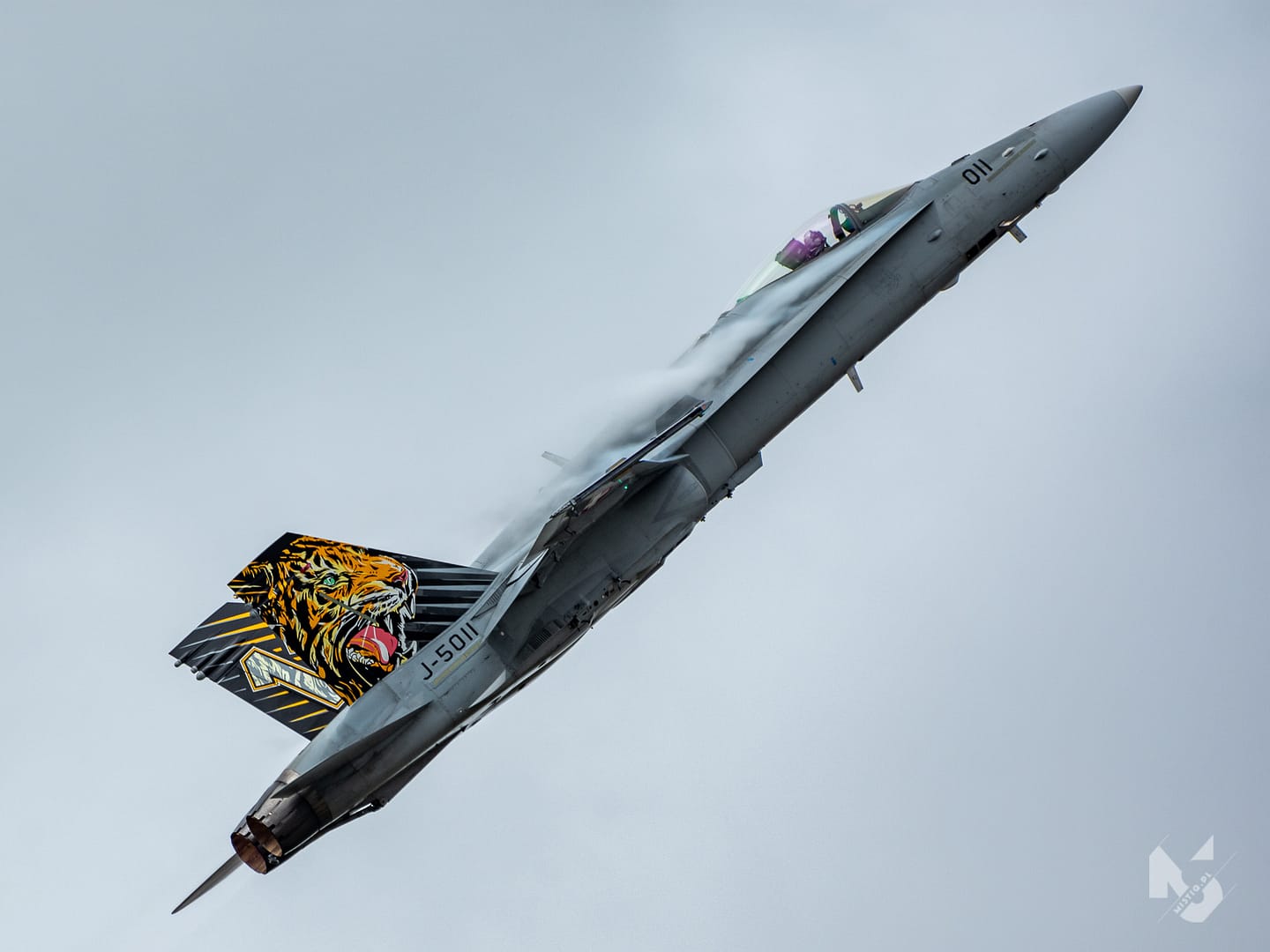 2019_07_21, RIAT, F/A-18C Hornet (Swiss Air Force)