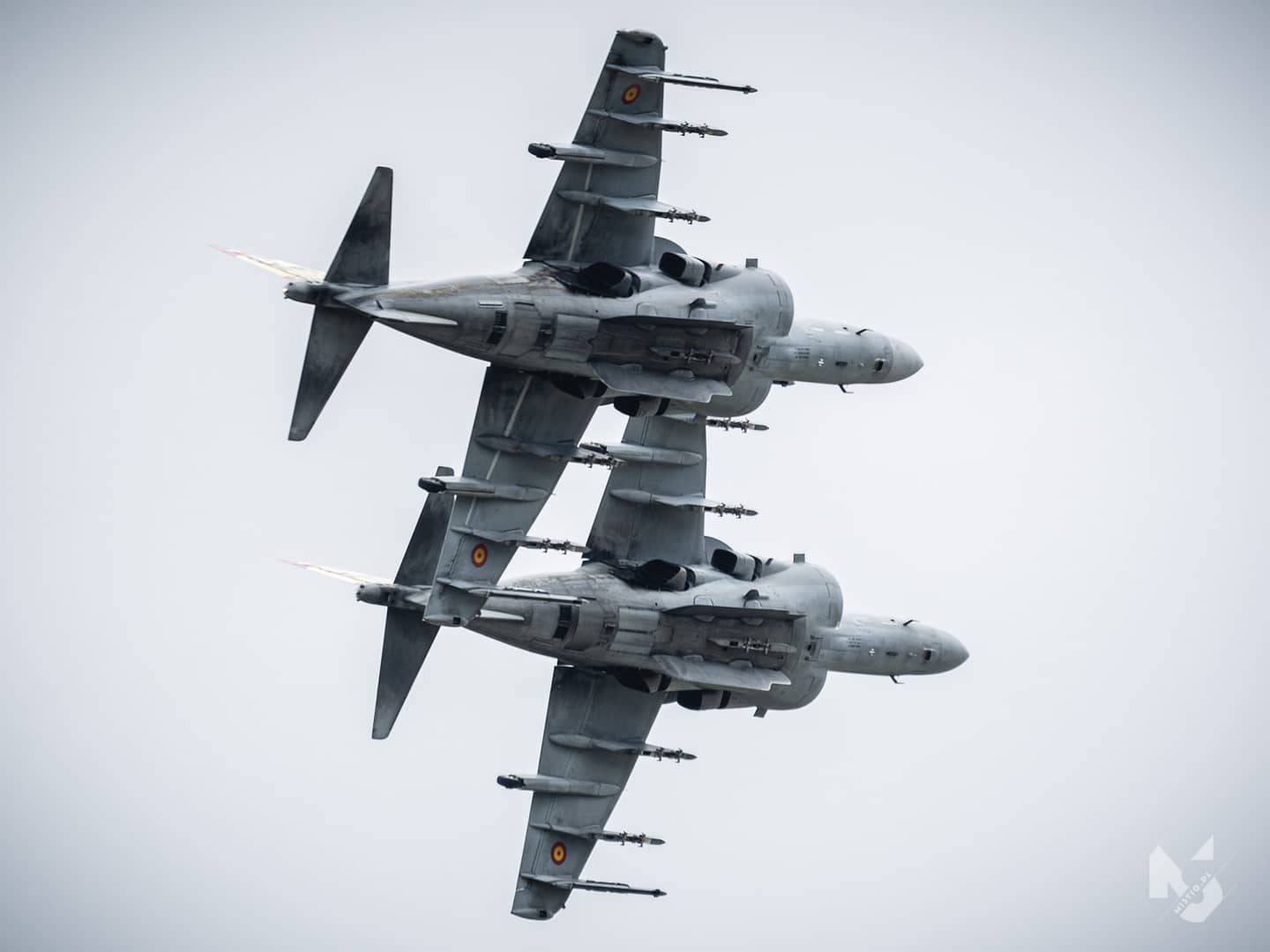 2019_07_21, RIAT, EAV-8B Harrier II (Spanish Navy - ARMADA)