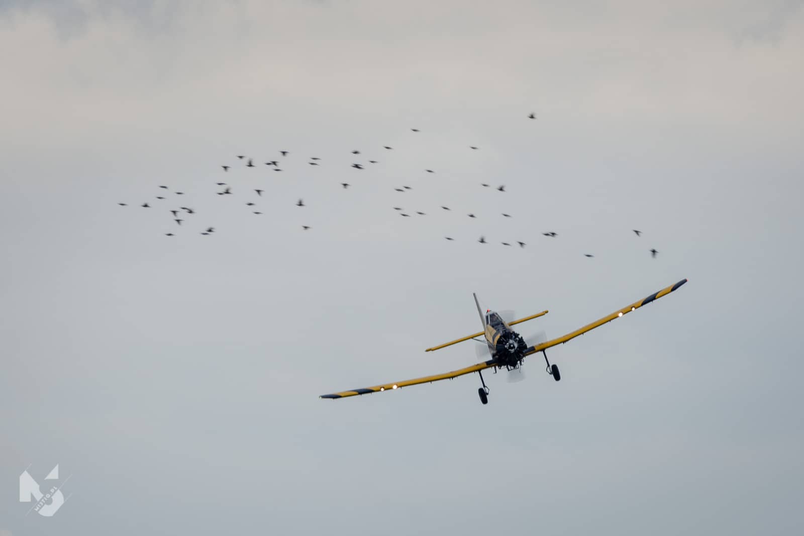 30.06.2018, FLYFEST, PZL M18B Dromader