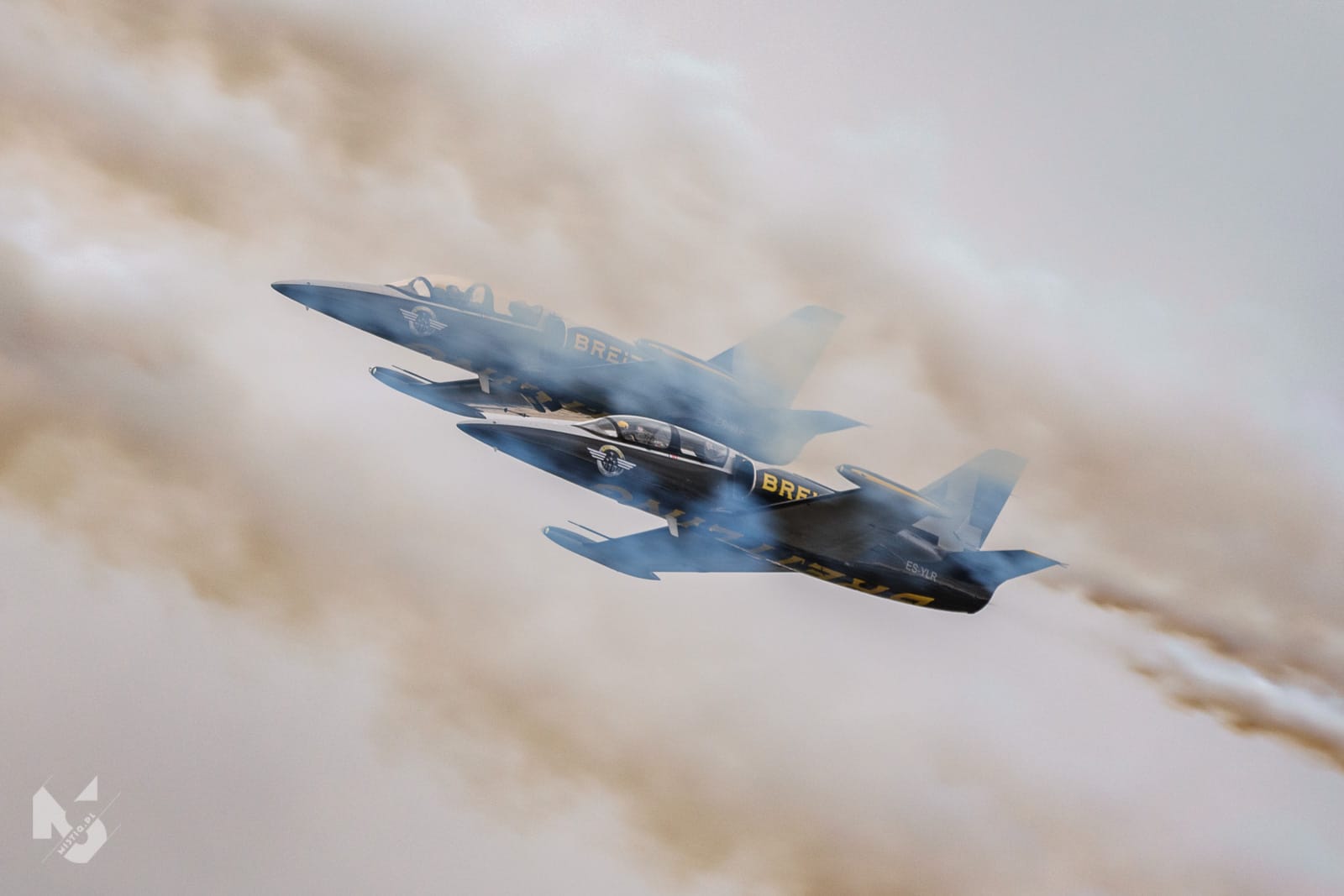 2019_07_21, RIAT,  L-39 Albatros - Breitling Jet Team