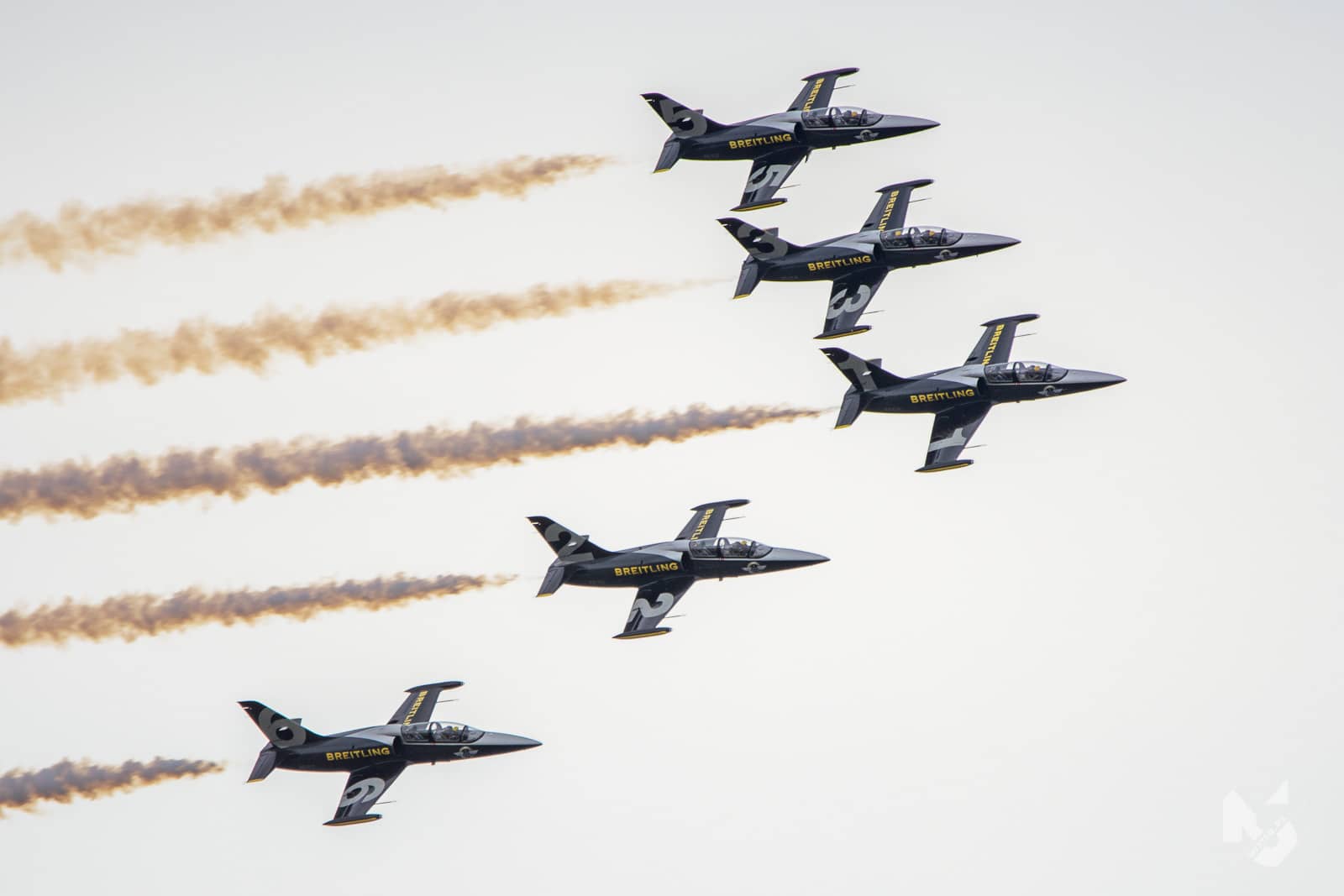 2019_07_21, RIAT,  L-39 Albatros - Breitling Jet Team