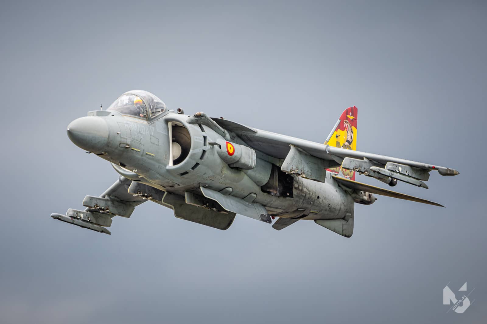 2019_07_21, RIAT, EAV-8B Harrier II (Spanish Navy - ARMADA)
