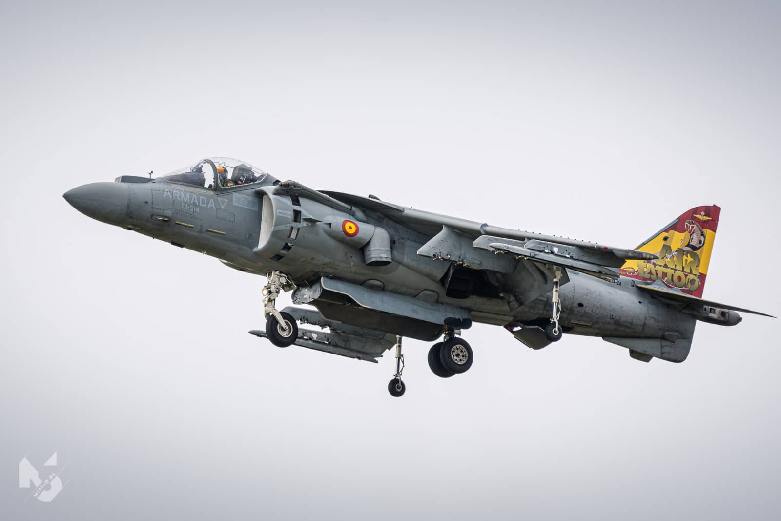 2019_07_21, RIAT, EAV-8B Harrier II (Spanish Navy - ARMADA)