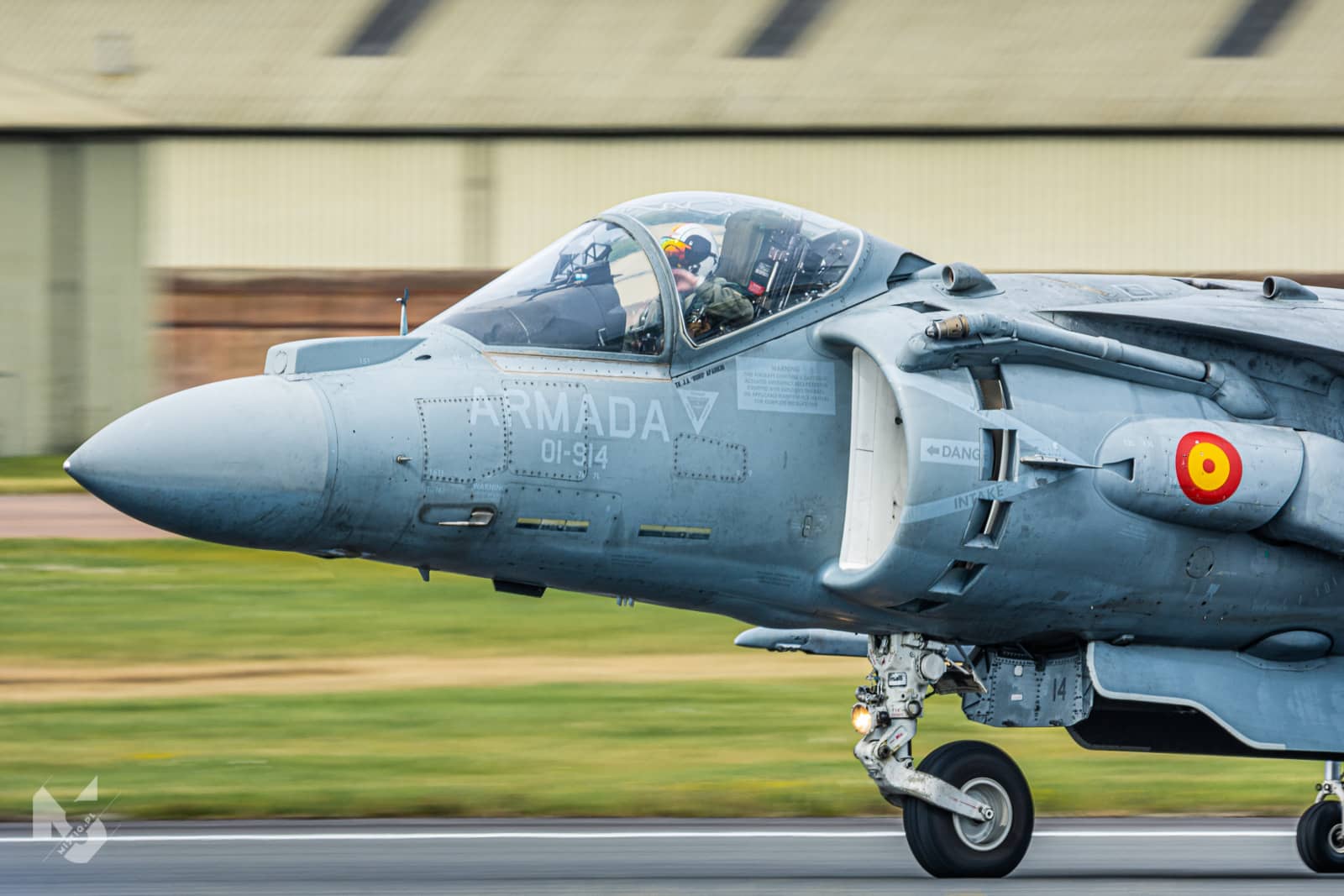 2019_07_21, RIAT, EAV-8B Harrier II (Spanish Navy - ARMADA)