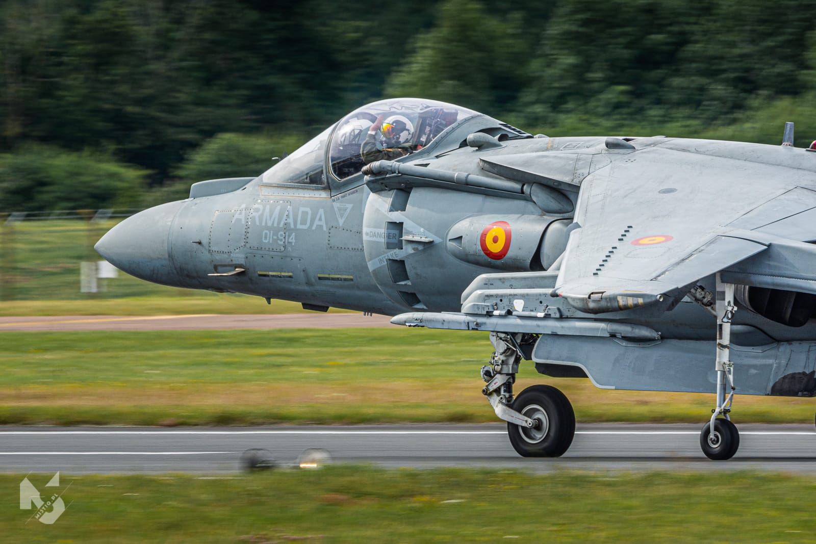 2019_07_21, RIAT, EAV-8B Harrier II (Spanish Navy - ARMADA)
