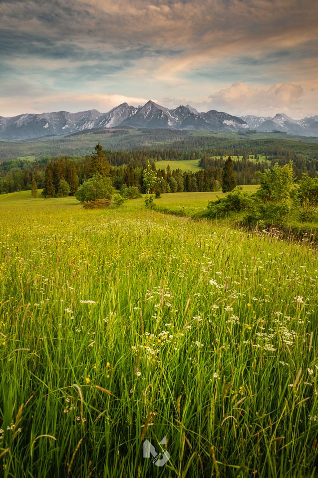 Podhale, Widok na Tatry z Łapszanki