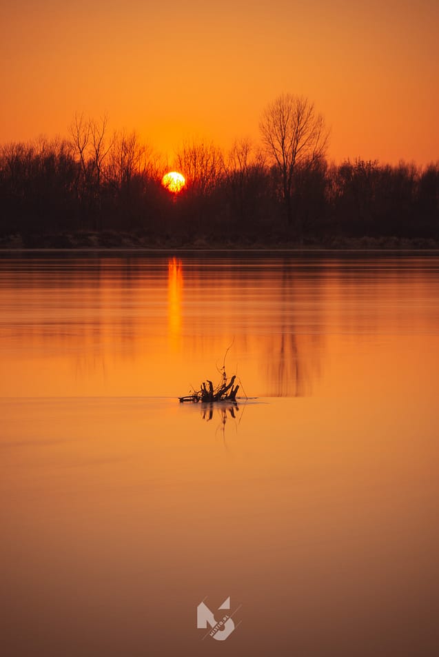 DSC2665_1600px_PION